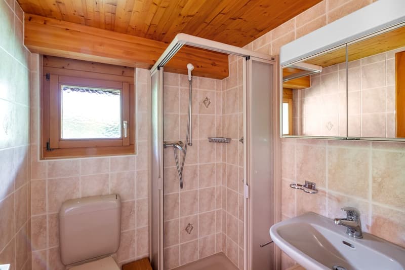 Chalet au coeur des Marécottes, à proximité immédiate de la station avec grand terrain (9)