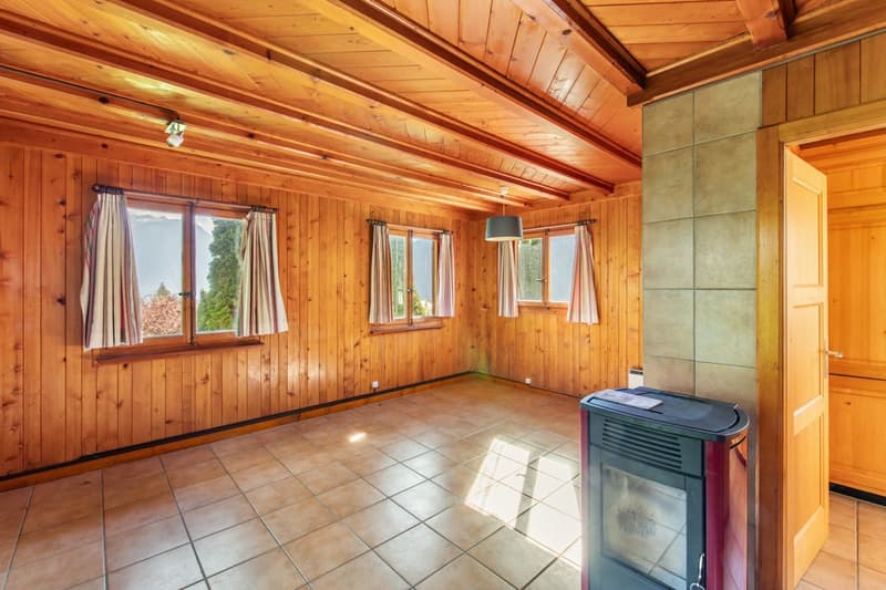 Chalet au coeur des Marécottes, à proximité immédiate de la station avec grand terrain (4)