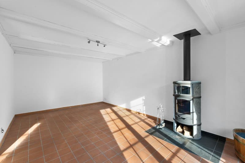 Charmante maison contiguë avec cachet (12)