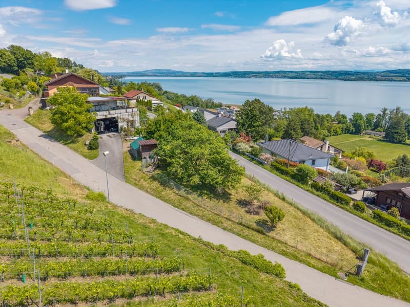 Magnifique terrain avec vue sur le lac de Morat et la possibilité de construire appartement ou maison (3)