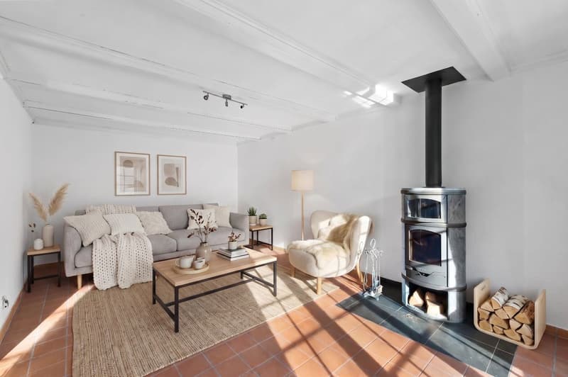 Charmante maison contiguë avec cachet (3)