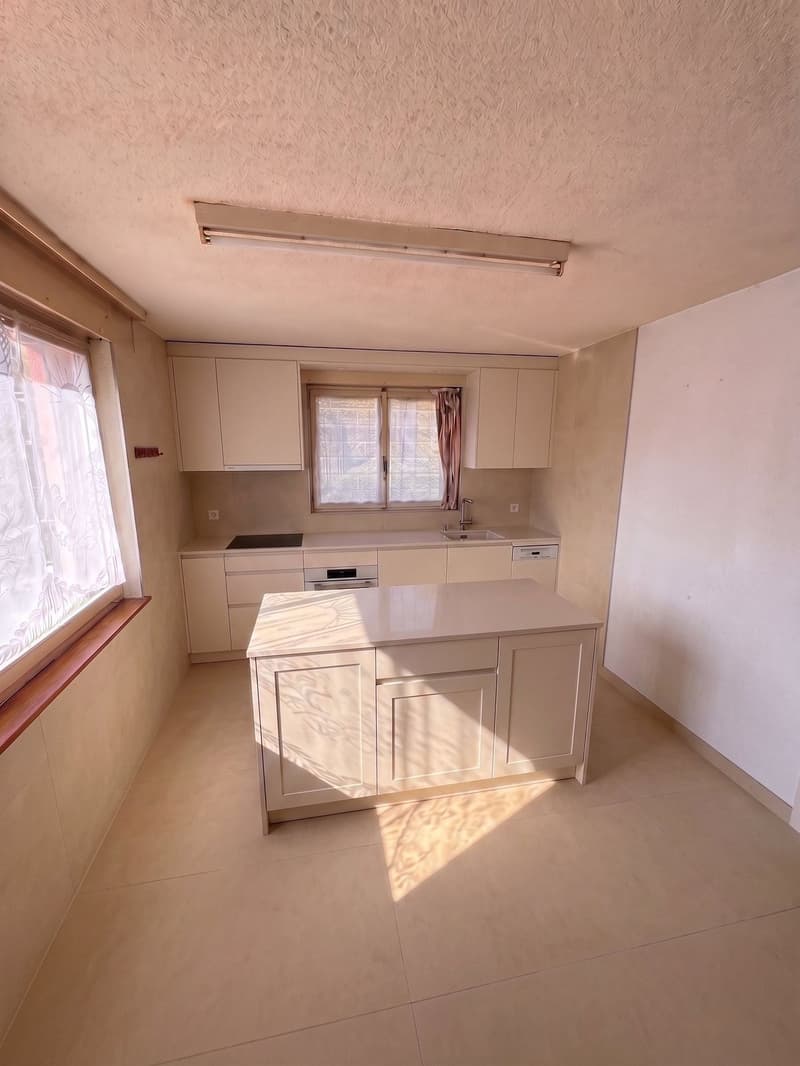Maison avec vue sur le lac de Morat et la possibilité de construire appartement ou maison en plus de l' existant (5)