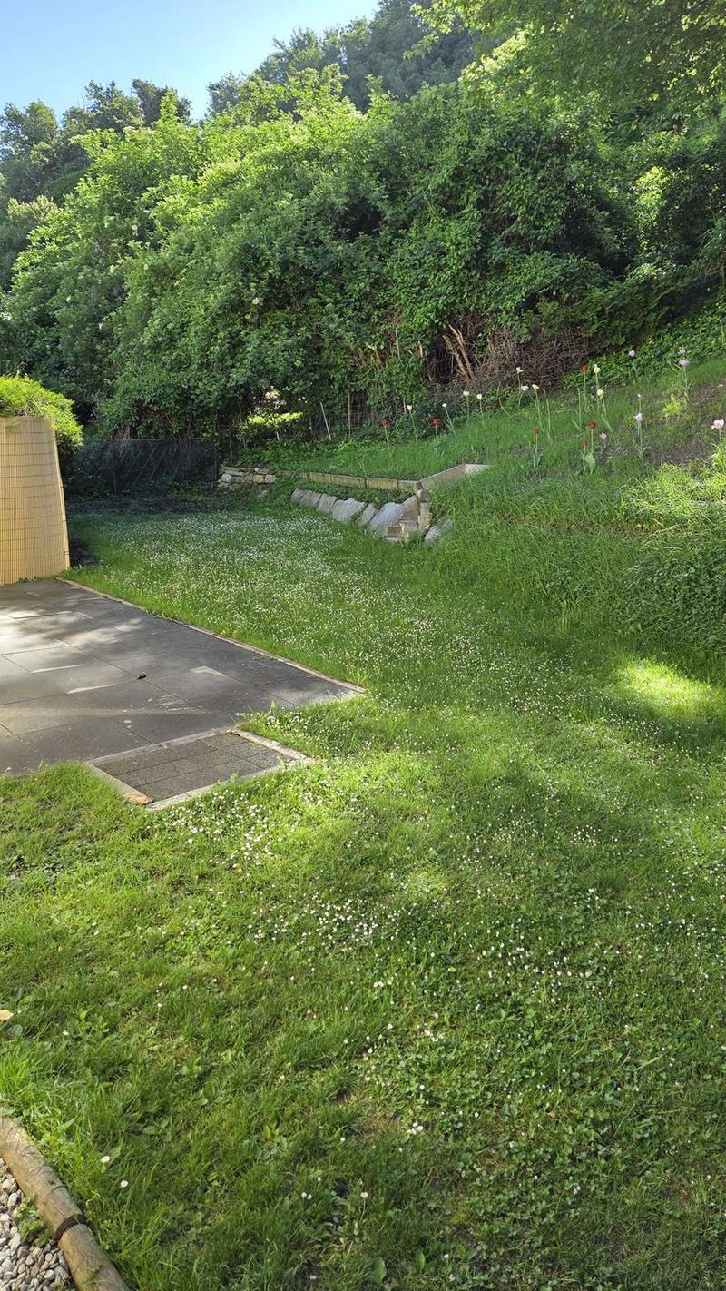 Maison contiguë de 5,5 pièces avec jardin à Aproz (Nendaz) (6)