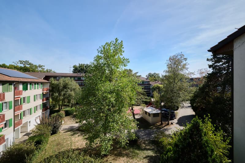 Élégant appartement de 5 pièces au coeur d'un parc arboré (12)