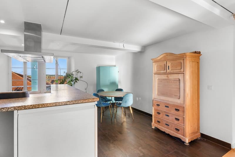 Un appartement de caractère de 5.5 pièces où le charme de l'ancien rencontre le confort du contemporain (5)