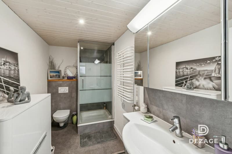 Villa avec vue lac, entièrement rénovée & divisée en plusieurs logements (9)
