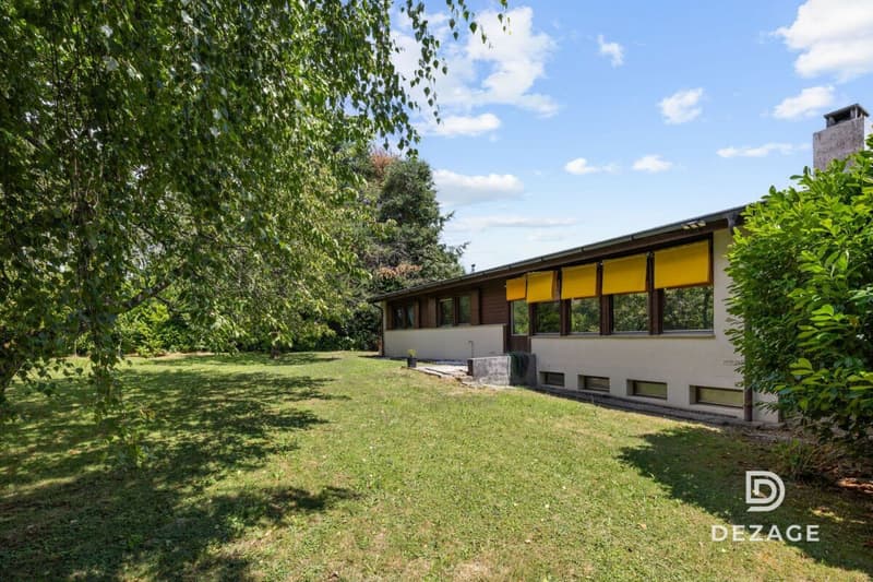 Maison à rénover avec potentiel d'agrandissement sur une vaste parcelle arborée ! (5)