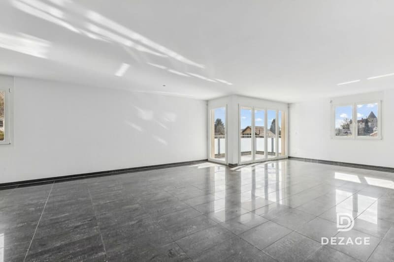 Grand appartement familial avec balcon couvert et vue sur le château d'Oron ! (7)