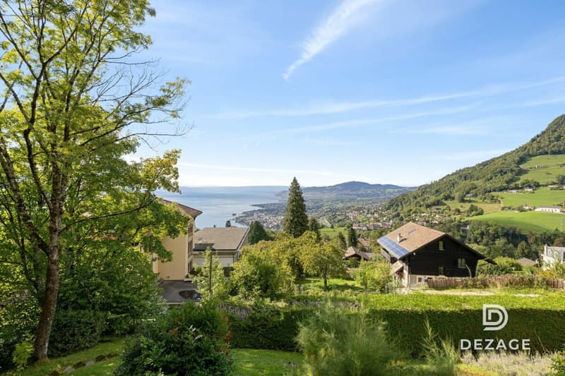 Vue panoramique et calme absolu à 5 minutes du centre de Montreux (10)