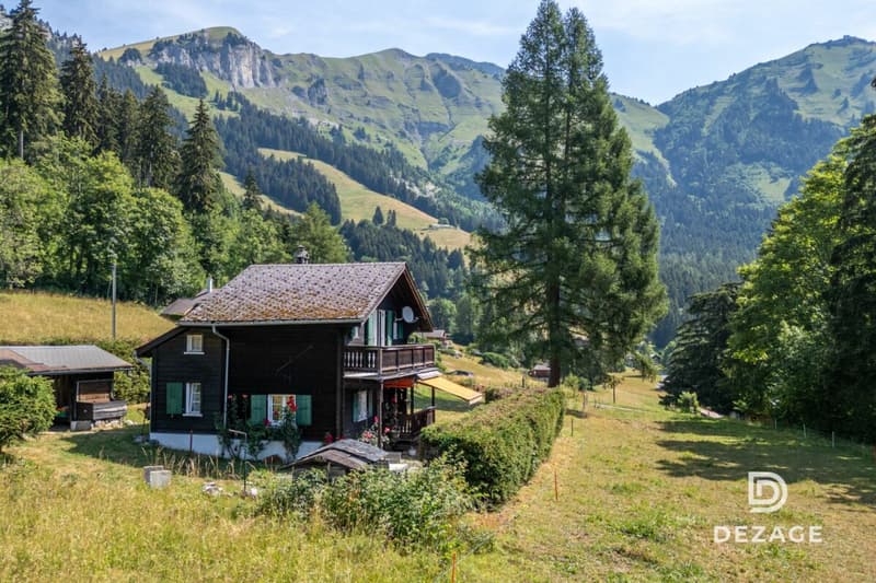 Charmant chalet de vacances dans un cadre idyllique à Corbeyrier (11)