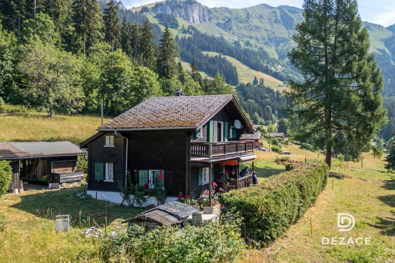 Charmant chalet de vacances dans un cadre idyllique à Corbeyrier (3)