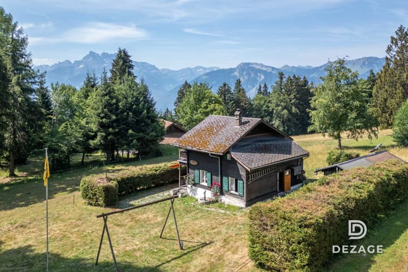 A 35 minutes de Vevey : Charmant chalet de vacances dans un cadre idyllique (3)