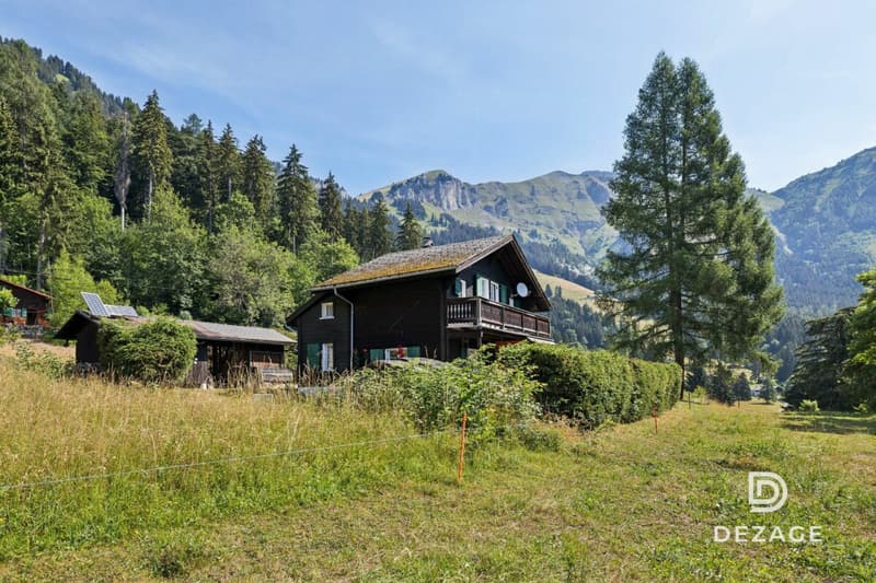 A 35 minutes de Vevey : Charmant chalet de vacances dans un cadre idyllique (10)
