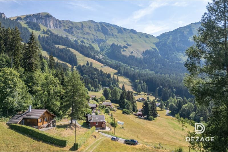 A 35 minutes de Vevey : Charmant chalet de vacances dans un cadre idyllique (15)