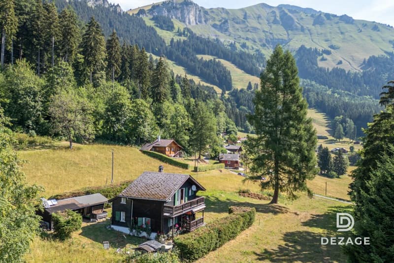 A 35 minutes de Vevey : Charmant chalet de vacances dans un cadre idyllique (2)