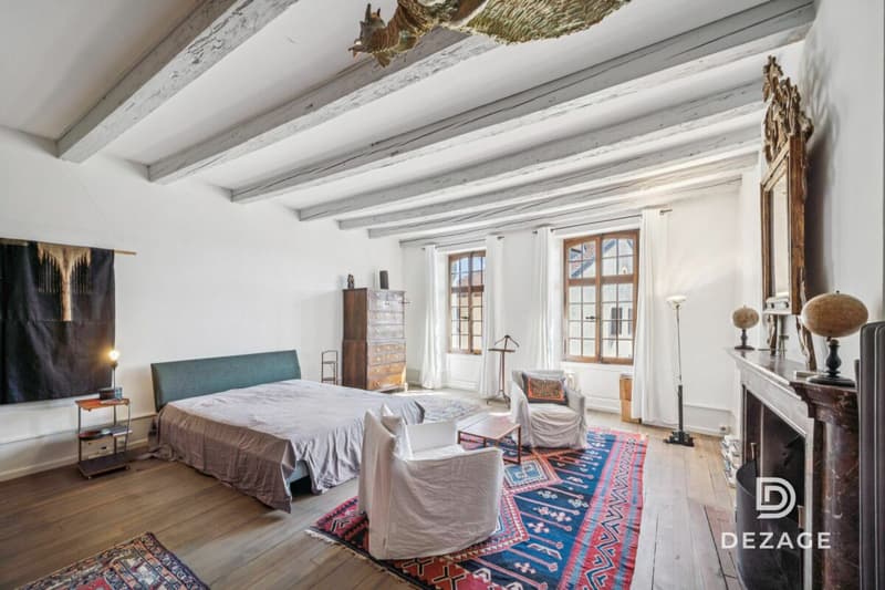 Somptueuse maison de maître rénovée avec soin, avec jardin de ville et au calme absolu (7)