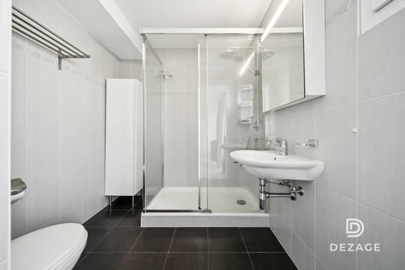 Magnifique attique-duplex de 165 m² avec terrasse entre Lausanne et Pully, proche de toutes les commodités (10)