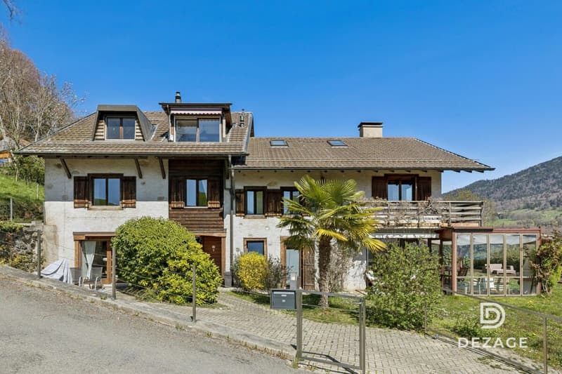 Maison familiale à moins de 10 minutes du centre de Vevey : Calme, nature et vue panoramique (4)