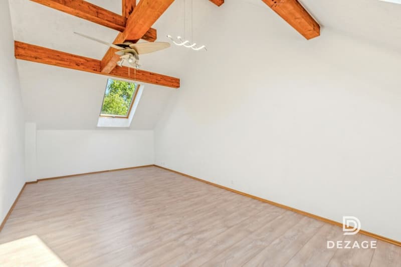 Domaine d'exception à 15 min de Lausanne : 5 500 m² de nature, écosystème privé et potentiel unique (7)