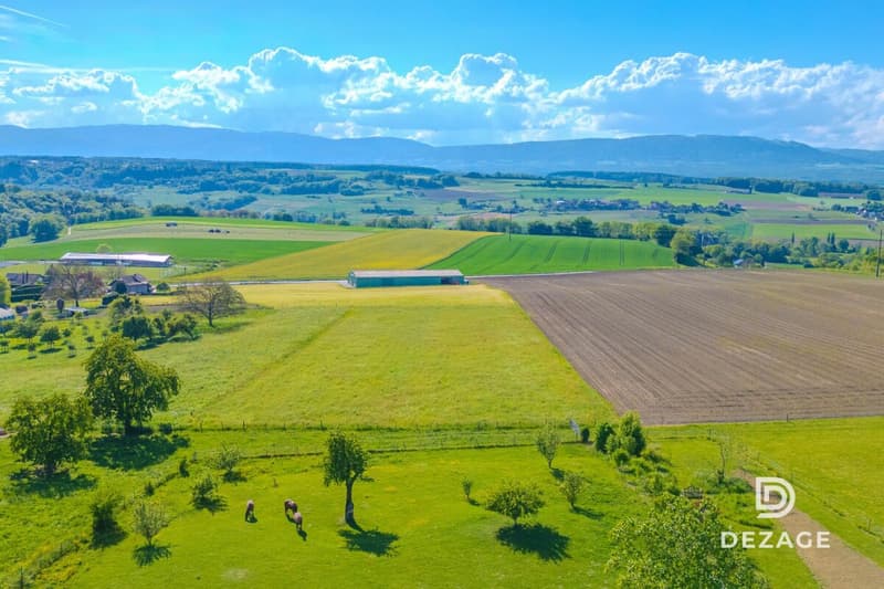 Domaine d'exception à 15 min de Lausanne : 5 500 m² de nature, écosystème privé et potentiel unique (11)