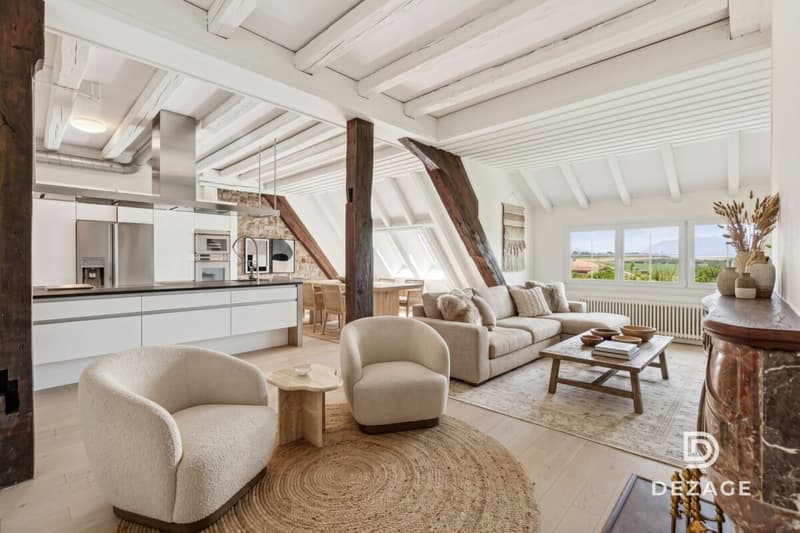Appartement de caractère avec vue panoramique et jardin à 5 minutes de Crissier ! (2)