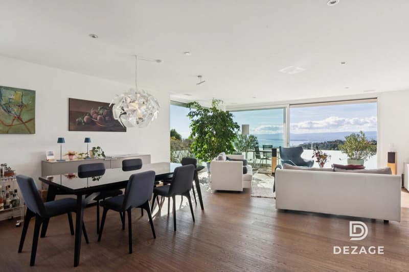 Magnifique duplex esprit maison avec ascenseur direct, jardin et vue imprenable sur le Lac ! (5)
