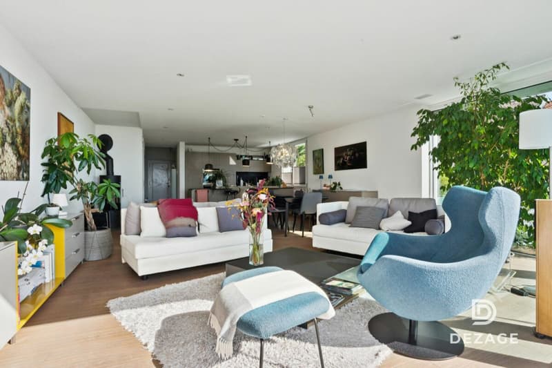 Magnifique duplex esprit maison avec ascenseur direct, jardin et vue imprenable sur le Lac ! (3)