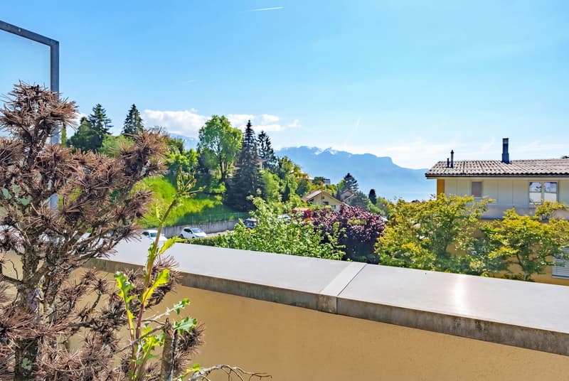 Maison mitoyenne spacieuse avec échappée sur le lac (3)