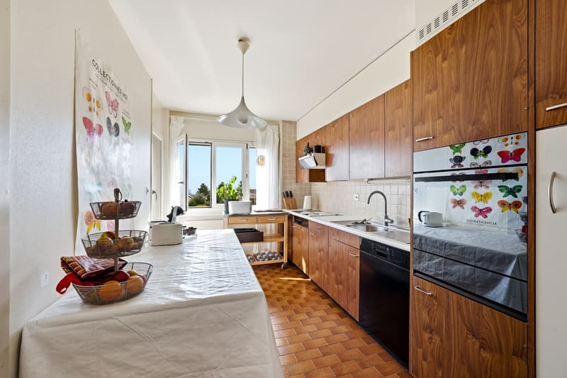 Appartement de 4,5 pièces avec jardin, vue lac et montagnes (4)