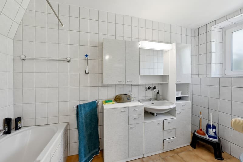 Maison villageoise rénovée avec 2 appartements (7)