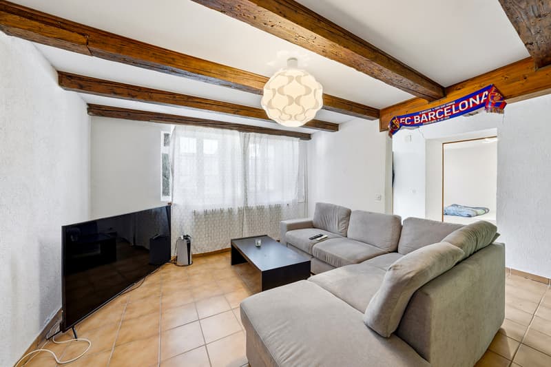 Maison villageoise rénovée avec 2 appartements (5)
