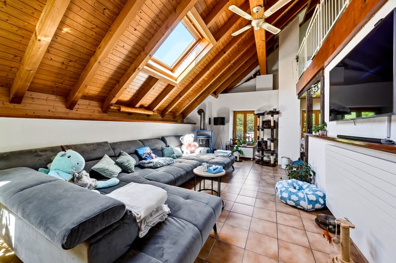 Maison villageoise rénovée avec 2 appartements (9)