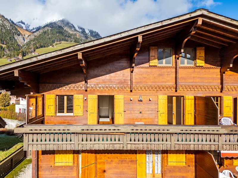 Appartement 4.5 pièces avec vue panoramique à 20 min. de Gstaad (3)