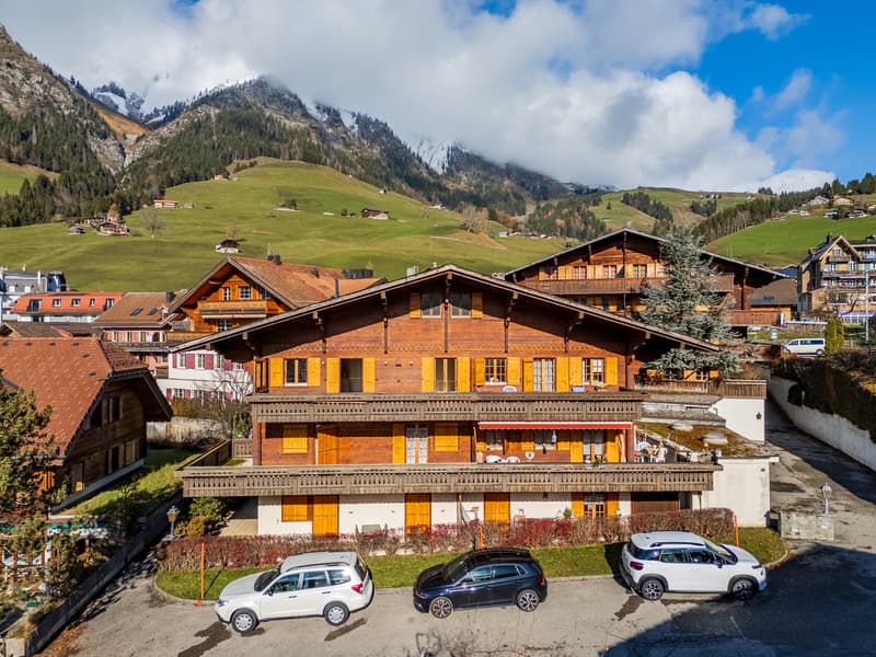 Appartement 4.5 pièces avec vue panoramique à 20 min. de Gstaad (2)
