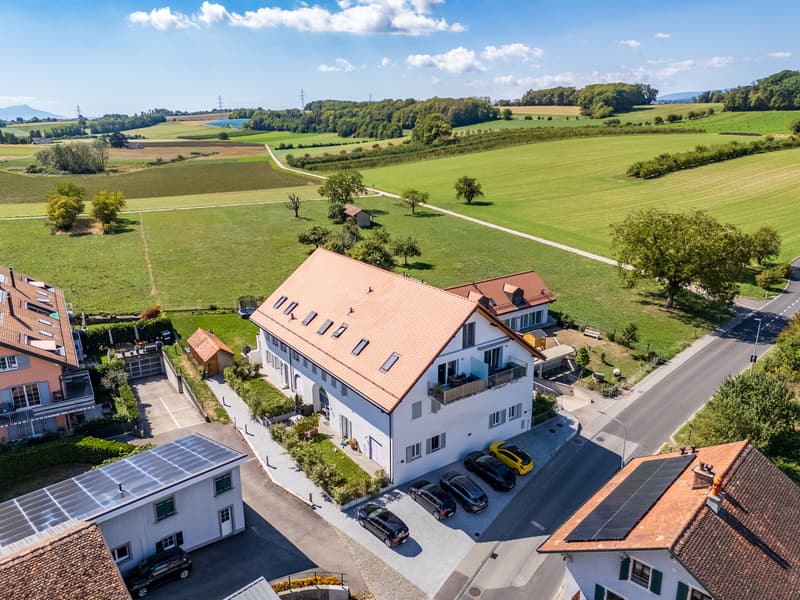 Appartement de charme de 2,5 pièces dans une ferme entièrement rénovée (12)