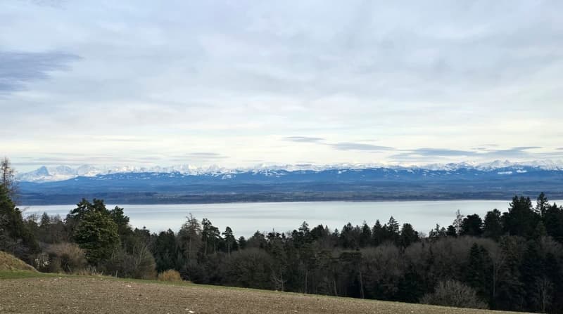 Vue Panoramique