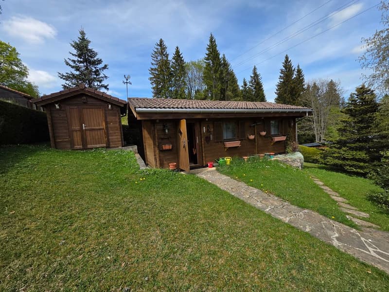 Deux chalets implantés sur une vaste parcelle ensoleillée (2)