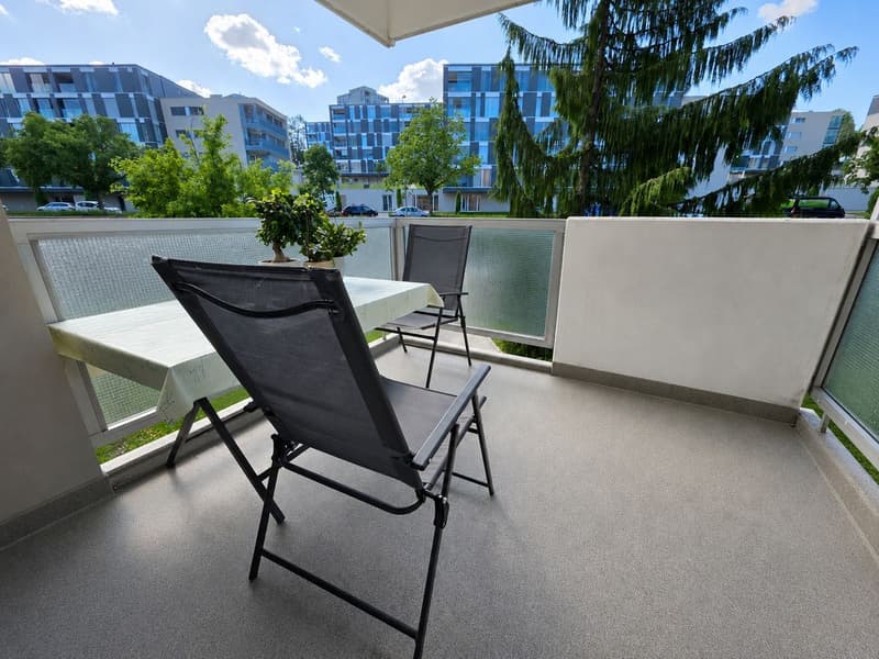 Appartement lumineux de 5,5 pièces avec ascenseur et garage (2)