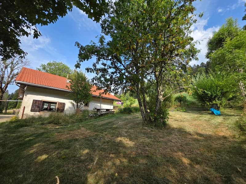 Charmante ferme rénovée avec un magnifique grand jardin (3)