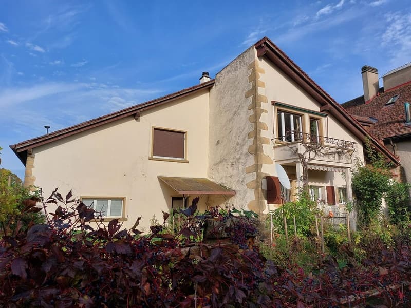 Maison villageoise avec jardin offrant deux appartements et un espace commercial (3)