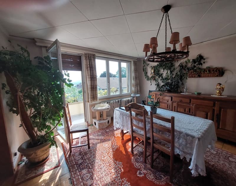 Maison villageoise avec jardin offrant deux appartements et un espace commercial (7)