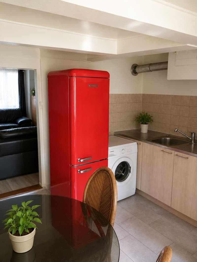 Maison villageoise avec jardin offrant deux appartements et un espace commercial (12)