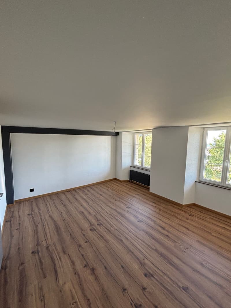 Magnique Duplex Avec Terasse (8)