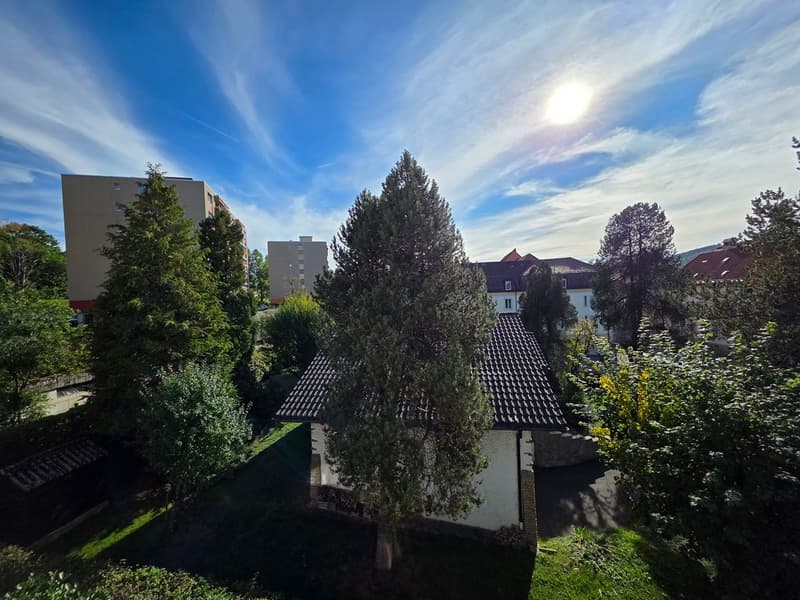 Appartement 5,5 pièces avec  terrasse, garage double et place de parc extérieure (4)