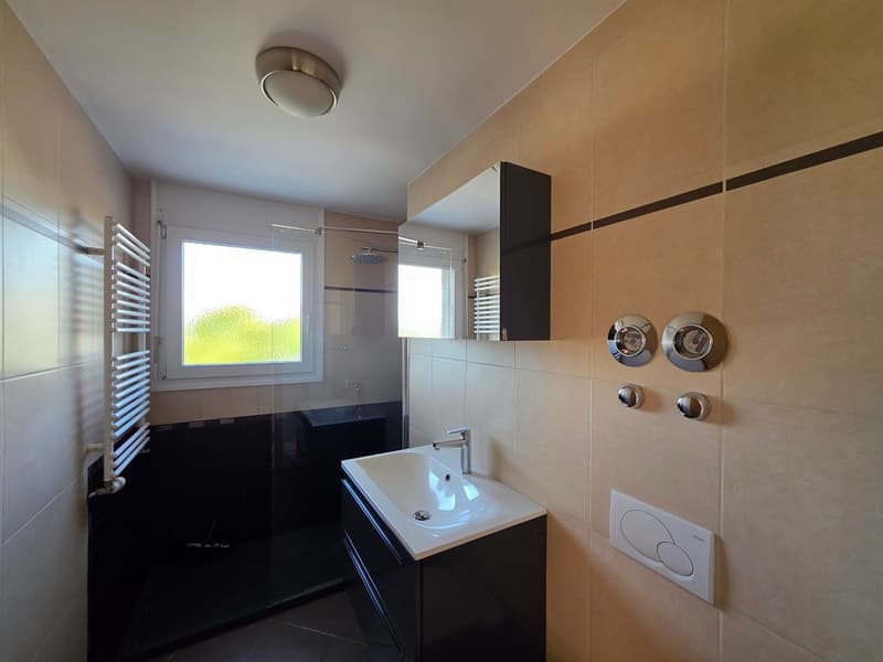 Appartement 5,5 pièces avec  terrasse, garage double et place de parc extérieure (11)