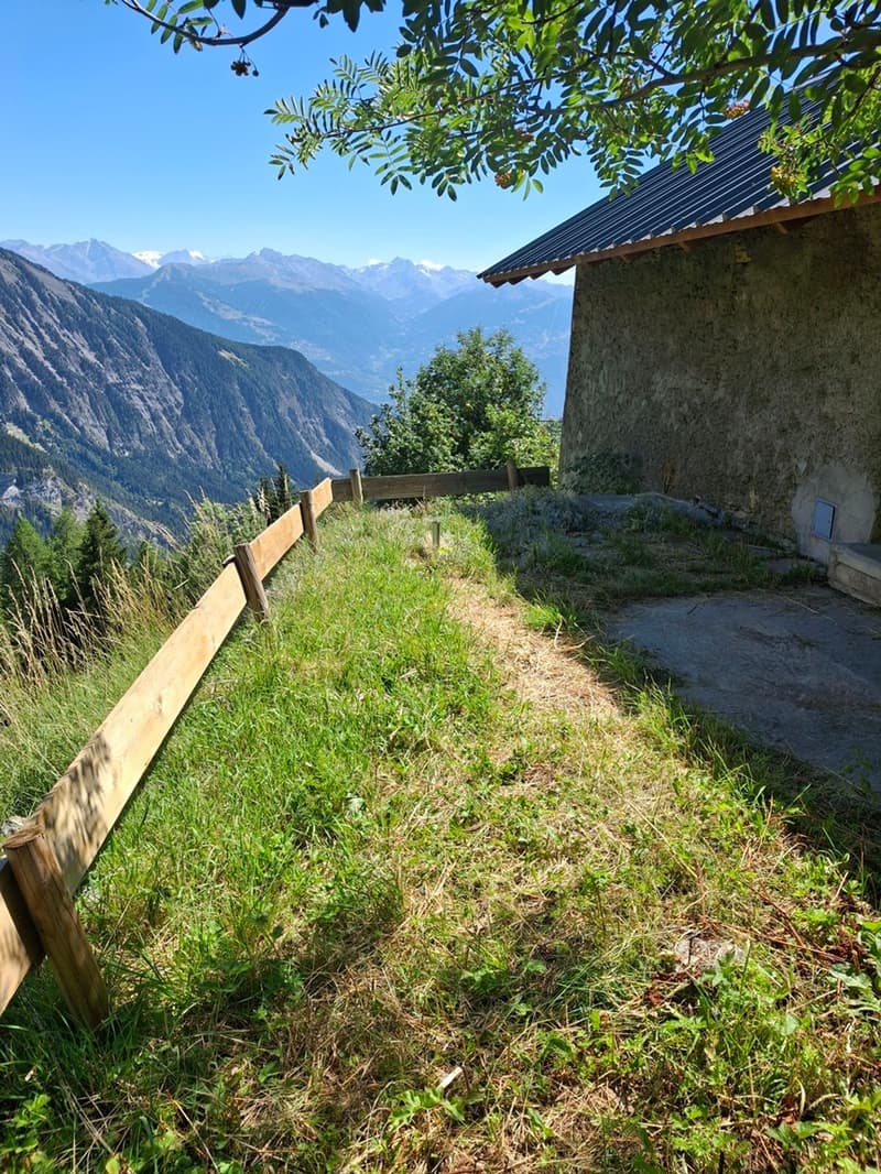 Charmant mayen offrant une magnifique vue panoramique sur les montagnes (2)