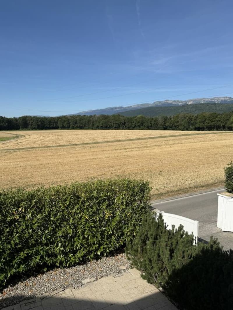 Jolie propriété avec belle terrasse (11)