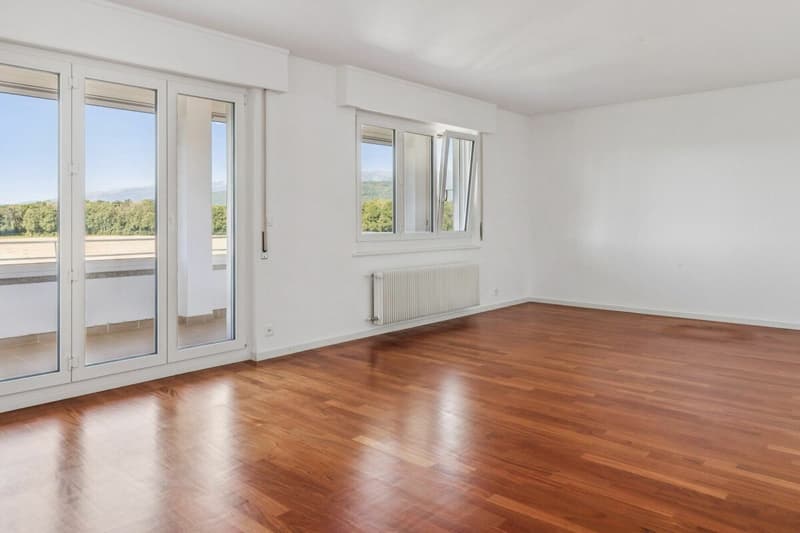Jolie propriété avec belle terrasse (8)