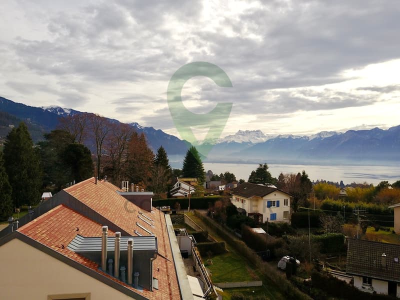 Bel appartement avec jardin situé entre Vevey et Montreux (2)