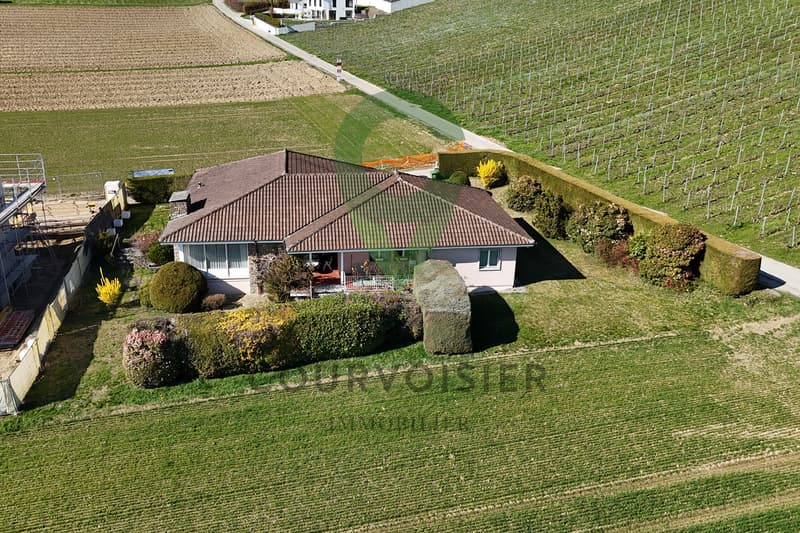 Maison individuelle de plain-pied avec vue dégagée à cinq minutes de Morges (4)
